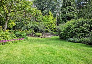 Optimiser l'expérience du jardin à Lumigny-Nesles-Ormeaux